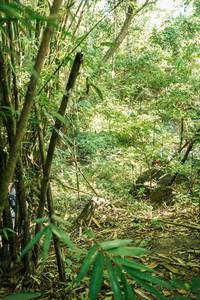 BIB: 
                            <button type="button" onclick="openModal(28160168)" class="btn btn-primary btn-sm float-right btn-popup" data-toggle="modal" data-target=".modal-high-quality">
                        <i class="fas fa-shopping-cart"></i> Add to Cart
                    </button>
                                            <button type="button" onclick="isThisMe(28160168, true)" class="btn btn-success btn-sm float-right btn-popup btn-isme hidden" data-toggle="tooltip" data-placement="bottom" title="นี่คือรูปของคุณใช่ไหม คลิกที่นี่เพื่อเอาเข้าอัลบั้ม">
                        <i class="fas fa-plus"></i> Add to album
                    </button>
                    <button type="button" onclick="isThisMe(28160168, false)" class="btn btn-warning btn-sm float-right btn-popup btn-isnotme hidden">
                        <i class="fas fa-ban"></i> Remove from album
                    </button>